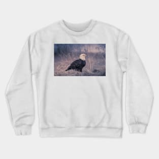 Grounded Eagle Crewneck Sweatshirt